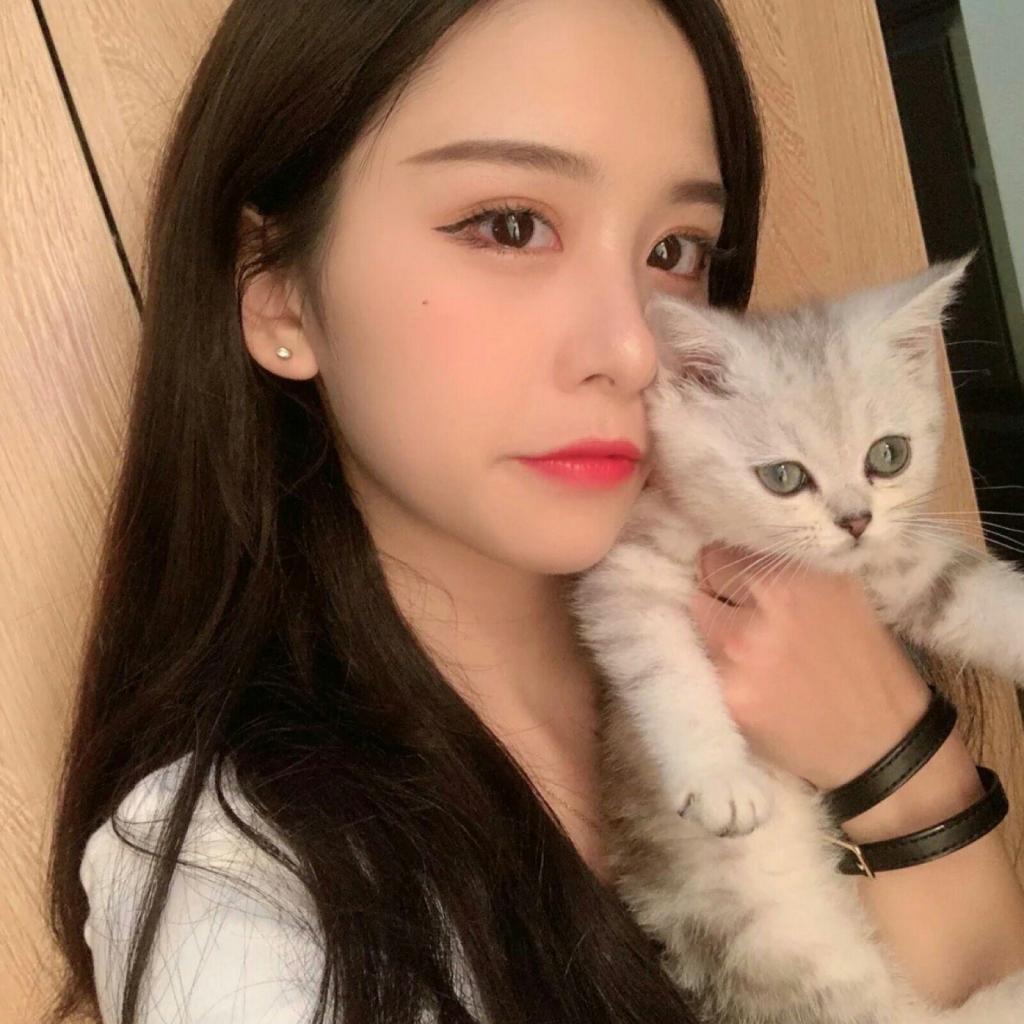 bob半岛官方网截图