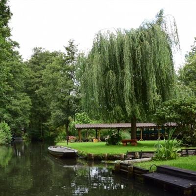 爱游戏平台下载手机版