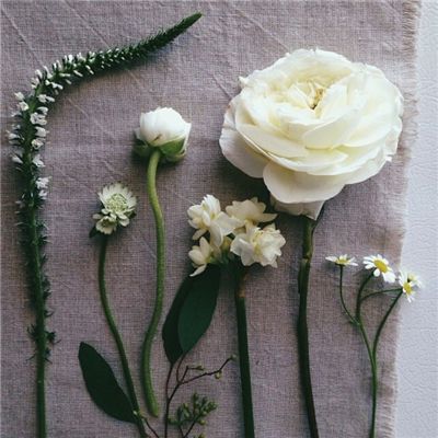 leyu·乐鱼app下载